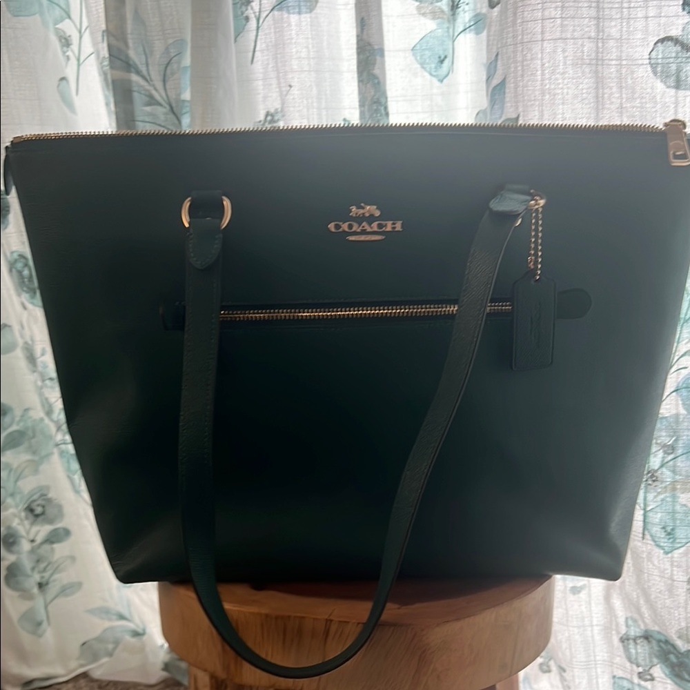Coach Green Tote Bag